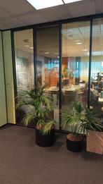 Glaspanelen 72 bij 287, Doe-het-zelf en Verbouw, Platen en Panelen, Ophalen