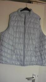 Lichtblauw gewatteerd -Bodywarmer maat 54, Kleding | Dames, Grote Maten, Ophalen of Verzenden, Zo goed als nieuw, Blauw, Jas of Mantel