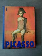Picasso Boek - Benedikt Taschen, Ophalen of Verzenden, Overige onderwerpen