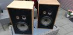 Sony SS 5300 Luidspreker boxen, Audio, Tv en Foto, Luidsprekers, Ophalen, Gebruikt, Sony, Minder dan 60 watt