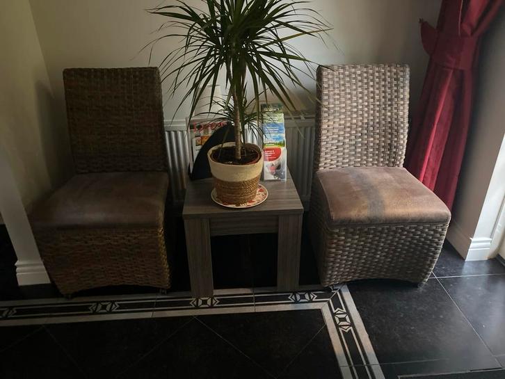 Twee rieten stoelen, Huis en Inrichting, Stoelen, Gebruikt, Twee, Riet of Rotan, Bruin, Ophalen