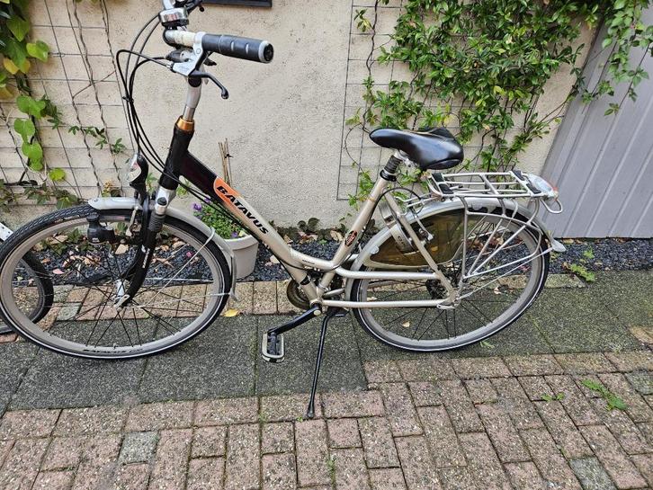 Batavus Europe damesfiets frame 53, Fietsen en Brommers, Fietsen | Dames | Damesfietsen, Gebruikt, Batavus, (Extra) lage instap