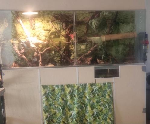 Super groot terrarium, Dieren en Toebehoren, Reptielen en Amfibieën | Toebehoren, Gebruikt, Terrarium of Paludarium, Ophalen