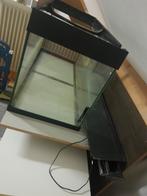 Grote aquarium met filter, Dieren en Toebehoren, Vissen | Aquaria en Toebehoren, Ophalen, Gebruikt