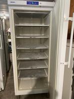 Liebherr Profiline vriezer No frost Horeca, Witgoed en Apparatuur, Vriezers en Diepvrieskisten, Gebruikt, 160 cm of meer, Ophalen