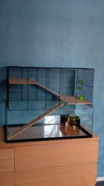 Hamsterhok met diverse toebehoren, Gebruikt, 60 tot 90 cm, Ophalen of Verzenden, Hok