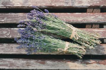 Lavendel gedroogd - Droogbloemen - per bos beschikbaar voor biedingen