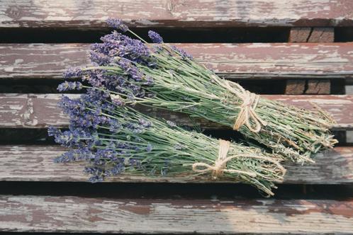 Lavendel gedroogd - Droogbloemen - per bos, Huis en Inrichting, Woonaccessoires | Droogbloemen, Nieuw, Verzenden