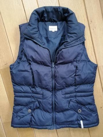 PEPPER CORN bodywarmer blauw maat S beschikbaar voor biedingen