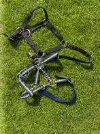 Halsters cob/ponymaat, Dieren en Toebehoren, Ophalen of Verzenden, Zo goed als nieuw