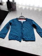 Blauw groen vestje maat 74 HEMA, Ophalen of Verzenden, Zo goed als nieuw, Jongetje, Truitje of Vestje