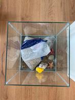 Aquarium 20 liter, Ophalen, Gebruikt, Leeg aquarium