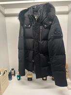 Moose knuckles winterjas in Maat S, Ophalen of Verzenden, Zo goed als nieuw, Zwart