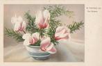 BLOEM BLOEMEN BELIJDENIS JAREN 50 ZEER MOOIE KAART KH193, Ophalen of Verzenden, 1940 tot 1960, Ongelopen, Overige thema's