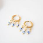 Oorbellen met sodaliet, Overige materialen, Hangers, Blauw, Nieuw