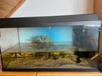 Aqarium, Dieren en Toebehoren, Vissen | Aquaria en Toebehoren, Ophalen, Zo goed als nieuw, Leeg aquarium