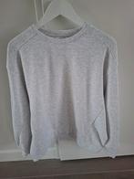 Shoeby Lonneke Nooteboom sweater grijs, Ophalen of Verzenden, Zo goed als nieuw, Grijs