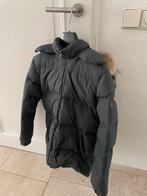 Leuke korte winterjas Eddy Pen 10-12, Ophalen, Zo goed als nieuw, Meisje, Jas