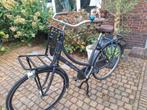 Cortina Damesfiets - Grey Matt - 58cm, Fietsen en Brommers, Fietsen | Heren | Herenfietsen, 57 tot 61 cm, Ophalen of Verzenden