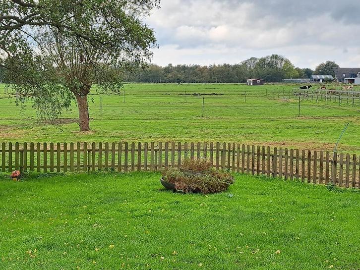 Pension stalling, Dieren en Toebehoren, Stalling en Weidegang