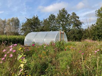 Tunnelkas professioneel, oerdegelijk en stormvast beschikbaar voor biedingen