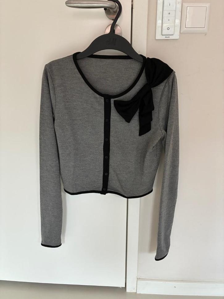 Only vestje met strik, Kleding | Dames, Truien en Vesten, Zo goed als nieuw, Maat 38/40 (M), Grijs, Ophalen of Verzenden