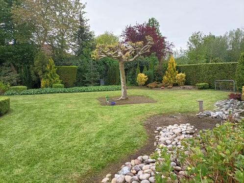 Tuinman / Hovenier/ Tuinonderhoud, Tuin en Terras, Gras en Kunstgras, Nieuw, 20 m² of meer, Ophalen of Verzenden
