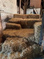 Tarwe stro kleine pakjes, Dieren en Toebehoren, Dierenvoeding, Ophalen, Vee