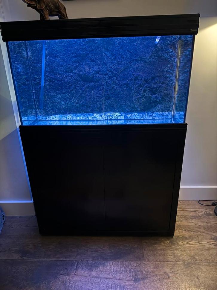 Aquatlantis 100 + Oase Biomaster Thermo 350, Dieren en Toebehoren, Vissen | Aquaria en Toebehoren, Zo goed als nieuw, Gevuld zoetwateraquarium