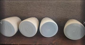 JBL Control 65P/T-WH –plafond speakers  beschikbaar voor biedingen