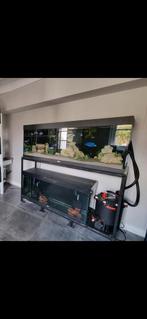 Juwel rio 450 & 240 liter. Kweekstelling. Zgan, Ophalen, Zo goed als nieuw, Leeg aquarium