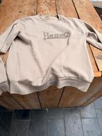 Herno sweater maat xl, Kleding | Heren, Ophalen of Verzenden, Zo goed als nieuw, Maat 56/58 (XL), Beige