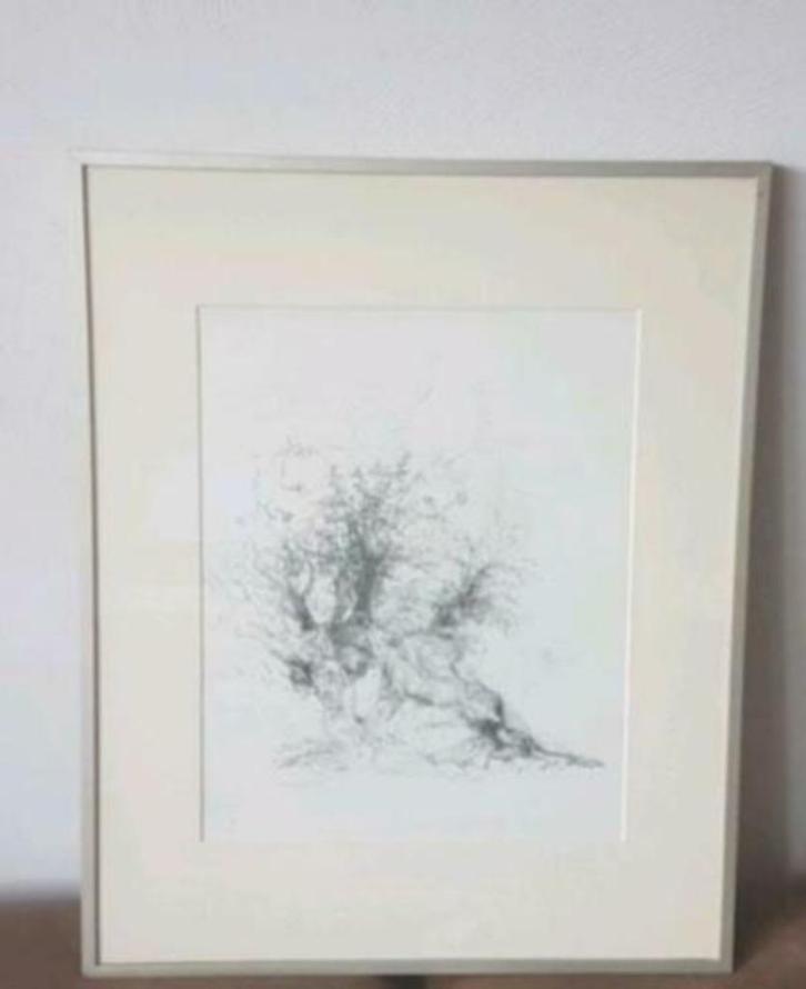 Originele Litho Jaap Kruijff vrouwen 194/200, Antiek en Kunst, Kunst | Litho's en Zeefdrukken, Ophalen