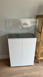 ADA 60P set met Aquael meubel verwarming en accessoires, Dieren en Toebehoren, Vissen | Aquaria en Toebehoren, Ophalen, Zo goed als nieuw