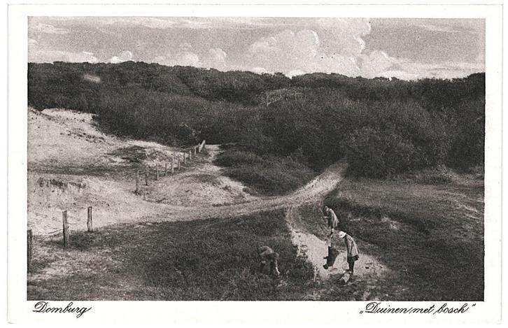 700375 Domburg Duinen met Bosch Zeeland Nette oude kaart onb, Verzamelen, Ansichtkaarten | Nederland, Ongelopen, Zeeland, Ophalen of Verzenden