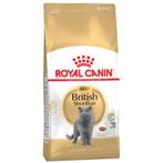 Royal Canin British Shorthair Adult 13 kg bonusbag, Ophalen of Verzenden, Kat