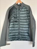 Nieuwe KRAKATAU., Ophalen of Verzenden, Nieuw, Overige maten, Groen