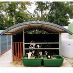 Kalverhok Boogstal – Groepshok, Dieren en Toebehoren, Verzenden, Nieuw