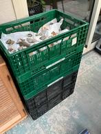 Diverse verzameling mineralen, Verzamelen, Ophalen, Mineraal