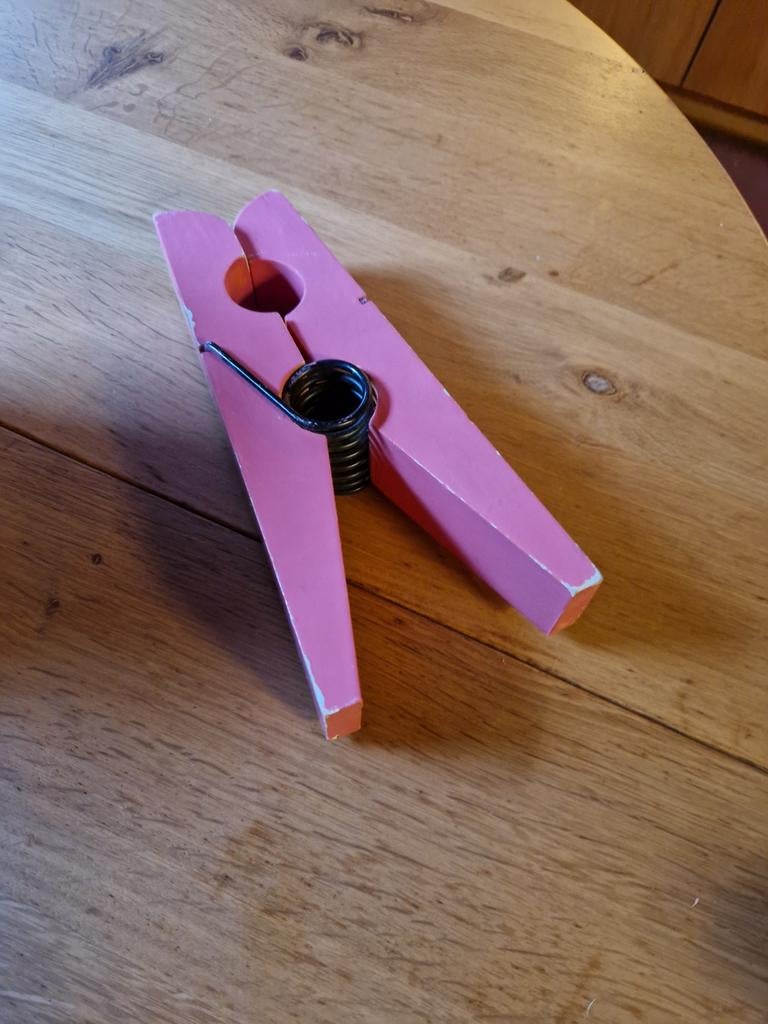 GROTE REUZE WASKNIJPERS POSTKNIJPER, Ophalen of Verzenden