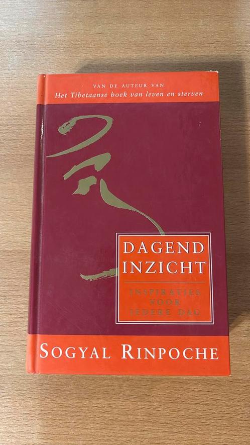 Sogyal Rinpoche - Dagend inzicht, Boeken, Filosofie, Zo goed als nieuw, Ophalen of Verzenden