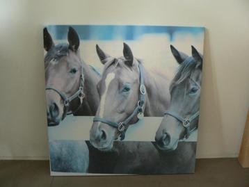 Mooi paardenschilderij 58x58 beschikbaar voor biedingen