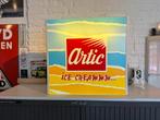 Vintage Artic IJs Reclame Lichtbak, Verzamelen, Merken en Reclamevoorwerpen, Ophalen, Gebruikt, ., Lichtbak of (neon) lamp