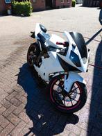 Derbi GPR 50 Gereviseerd WOK, Fietsen en Brommers, Brommers | Derbi, Ophalen, 6 versnellingen, Gebruikt, 50 cc