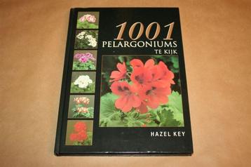 1001 Pelargoniums te kijk beschikbaar voor biedingen