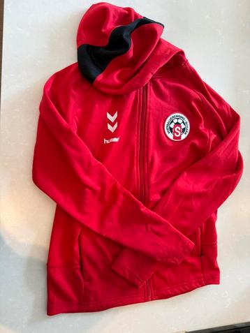 Voetbalset Scharn Maastricht beschikbaar voor biedingen
