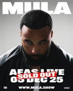 Ticket Mula B afas live, Eén persoon, December