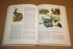 Zoogdieren der wereld - Hans Hvass, Boeken, Dieren en Huisdieren, Ophalen of Verzenden, Gelezen, Katten