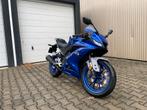 Yamaha YZF R125 - 2020, Motoren, Motoren | Yamaha, Bedrijf, Super Sport, 125 cc, 11 kW of minder