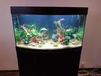 Juwel Vision 180 zwart met meubel, LED en externe JBL pomp, Dieren en Toebehoren, Gebruikt, Ophalen, Leeg aquarium